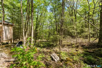 321 Colebrook Road, Winchester, CT 06098 - Photo 12