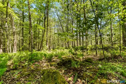 321 Colebrook Road, Winchester, CT 06098 - Photo 22