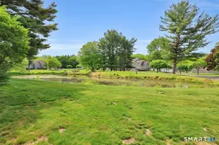 213 Georgetown Dr, Glastonbury, CT 06033 - Photo 30