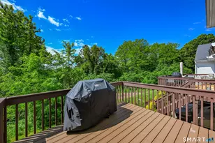 319 Thomaston Rd, Watertown, CT 06795 - Photo 24