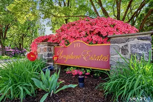 193 Hamilton Ave, Greenwich, CT 06830 - Photo 30
