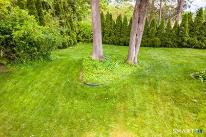66 Carol Drive, Plainville, CT 06062 - Photo 30