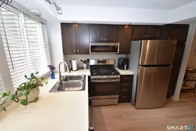 4 Wickhams Fancy #4, Canton, CT 06019 - Photo 8