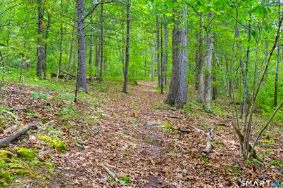 156 Cranberry Bog Road, Killingly, CT 06239 - Photo 6