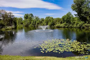 6 Hollyberry Ln, Ridgefield, CT 06877 - Photo 22