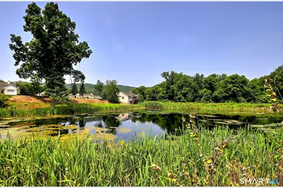 61 Pondview Circle #61, Beacon Falls, CT 06403 - Photo 38