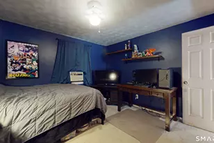 19 Bittersweet Ln, Burlington, CT 06013 - Photo 24