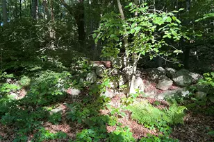 Cobbs Mill Rd, Wilton, CT 06897 - Photo 1