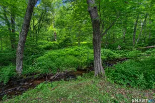 103 Nelkin Rd, Colchester, CT 06415 - Photo 36