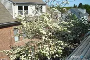 263 Roselle St, Fairfield, CT 06825 - Photo 14