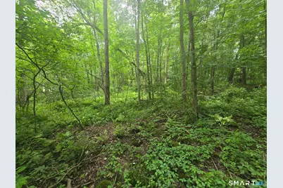 Boston Hill Road, Andover, CT 06232 - Photo 1
