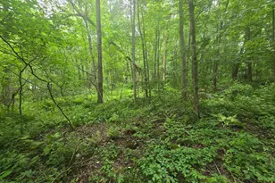 Boston Rd, Andover, CT 06232 - Photo 1
