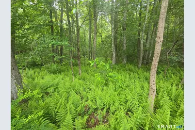 Boston Road, Andover, CT 06232 - Photo 2