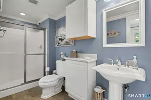 9 Hedge Meadow Ln, Newtown, CT 06470 - Photo 24