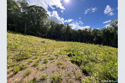 Cotton Hill Road, New Hartford, CT 06057 - Photo 8