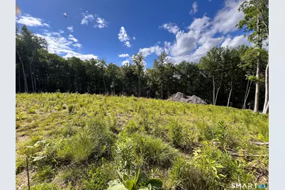Cotton Hill Road, New Hartford, CT 06057 - Photo 6