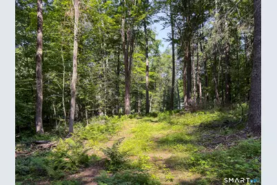 00 Great Hollow Road, Cornwall, CT 06753 - Photo 14