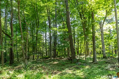 00 Great Hollow Road, Cornwall, CT 06753 - Photo 6