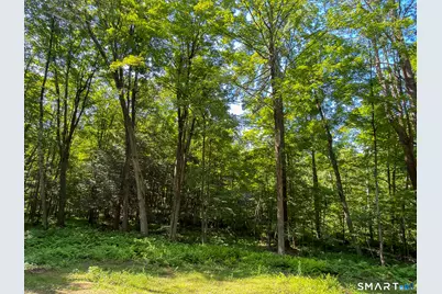 00 Great Hollow Road, Cornwall, CT 06753 - Photo 18