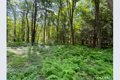 00 Great Hollow Road, Cornwall, CT 06753 - Photo 20