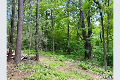 00 Great Hollow Road, Cornwall, CT 06753 - Photo 8
