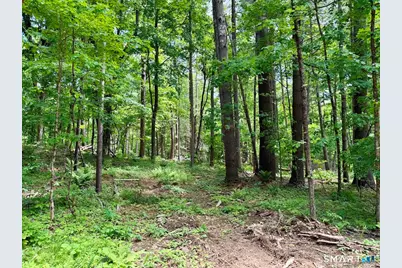 00 Great Hollow Road, Cornwall, CT 06753 - Photo 10