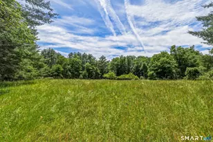 29 Campville Hill Rd, Harwinton, CT 06791 - Photo 40