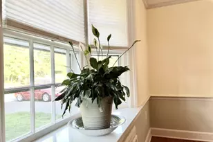 729 Lovely St, Avon, CT 06001 - Photo 10