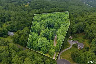 43 Millbrook Ln, Harwinton, CT 06791 - Photo 4
