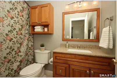 10 Old Village Lane, Farmington, CT 06085 - Photo 28