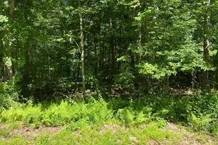 Middle Turnpike, Mansfield, CT 06250 - Photo 1