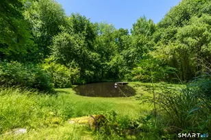 185 Center Rd, Easton, CT 06612 - Photo 40
