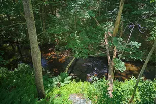 60 Olsen Dr, Mansfield, CT 06250 - Photo 34