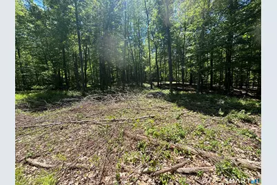 295 Providence Turnpike, Hampton, CT 06247 - Photo 4