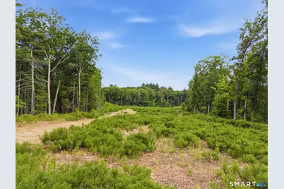 24 Peck Orchard Road, Granby, CT 06060 - Photo 26