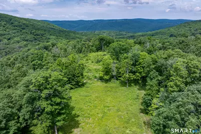 178 Carter Road, Kent, CT 06754 - Photo 32
