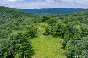 178 Carter Rd, Kent, CT 06754 - Photo 32