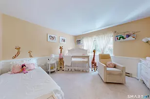 8 Rose Ln, Danbury, CT 06811 - Photo 18