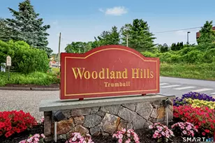 602 Woodland Hills Dr, Trumbull, CT 06611 - Photo 36