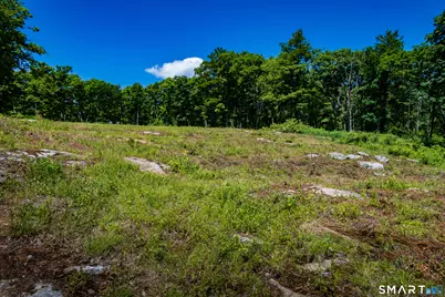 Westwoods Road #2, Sharon, CT 06069 - Photo 10