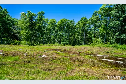 Westwoods Road #2, Sharon, CT 06069 - Photo 2