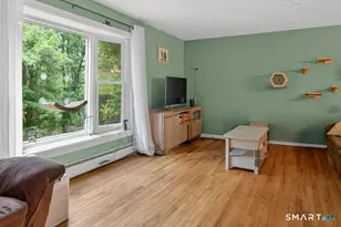 325 New Milford Rd E, Bridgewater, CT 06752 - Photo 4