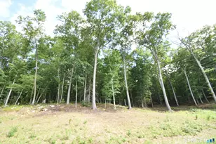 166 Boston Turnpike, Bolton, CT 06043 - Photo 14