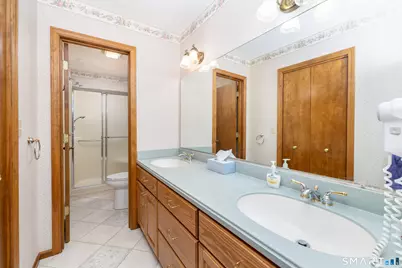 55 Windmill Springs #55, Granby, CT 06035 - Photo 28