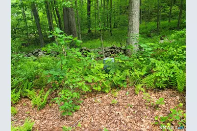 17 (Lot 2) Secret Mountain Trail, Canton, CT 06019 - Photo 6