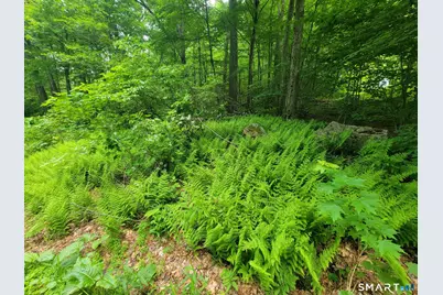 17 (Lot 2) Secret Mountain Trail, Canton, CT 06019 - Photo 4