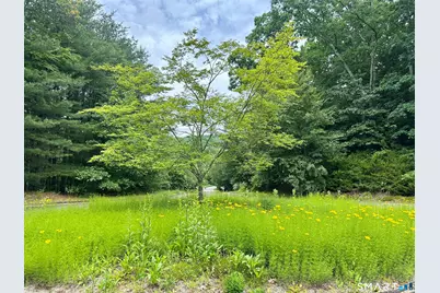 32 Birchwood Lane, Woodbury, CT 06798 - Photo 6