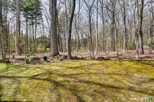32 Farmington Chase Crescent, Farmington, CT 06032 - Photo 38