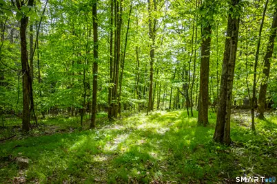 198-1 Beebe Hill Road, Canaan, CT 06031 - Photo 2