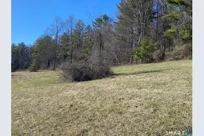 198-3 Beebe Hill Road, Canaan, CT 06031 - Photo 4